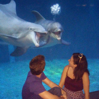 Man and woman (Amber) look at two dolphins through aquarium glass.